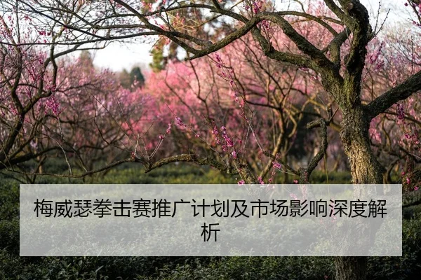 梅威瑟拳击赛推广计划及市场影响深度解析（8868Sports）