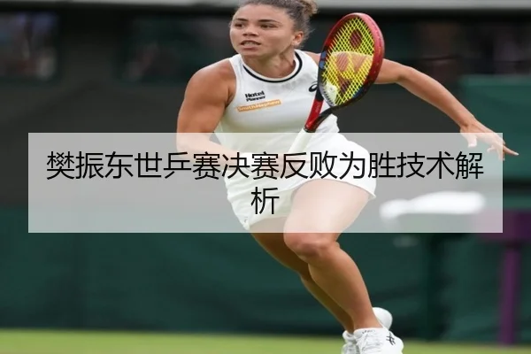 樊振东世乒赛决赛反败为胜技术解析